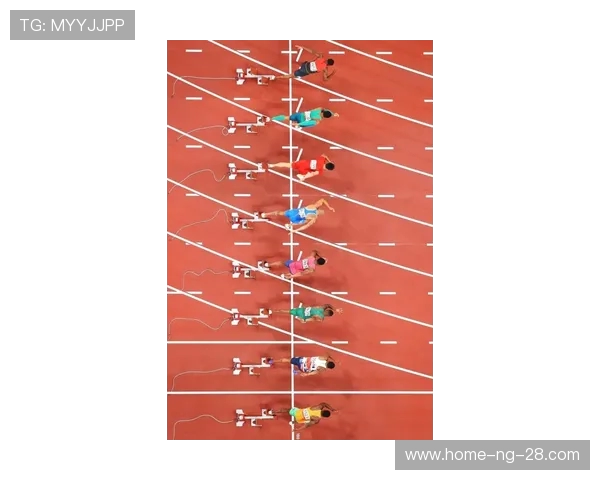 南京极限运动队的战术分析与盯防策略的得失评估